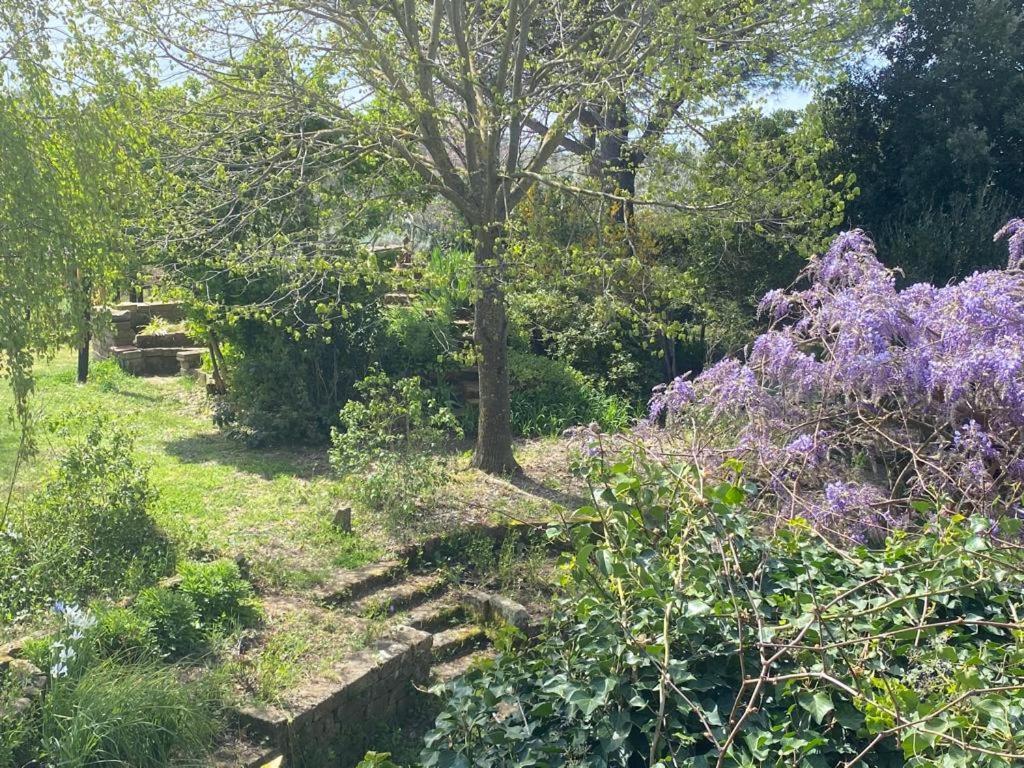 Agriturismo Solidor Pitigliano Eksteriør bilde