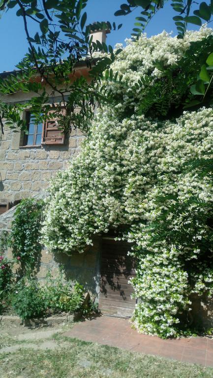 Agriturismo Solidor Pitigliano Eksteriør bilde